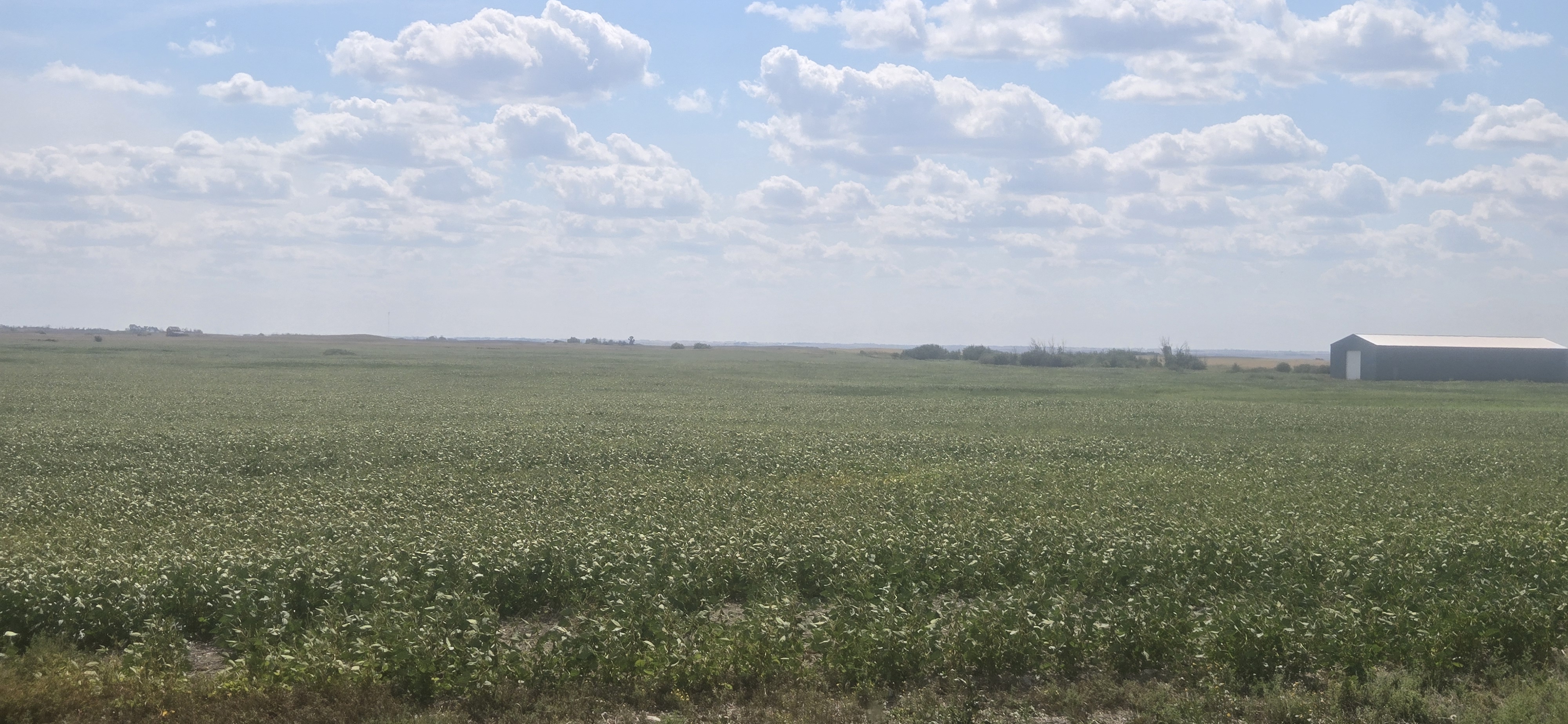 RM220 - Erhardt Shop & Farmland